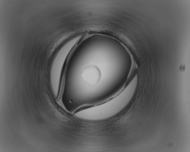 X0000092270444200709281227