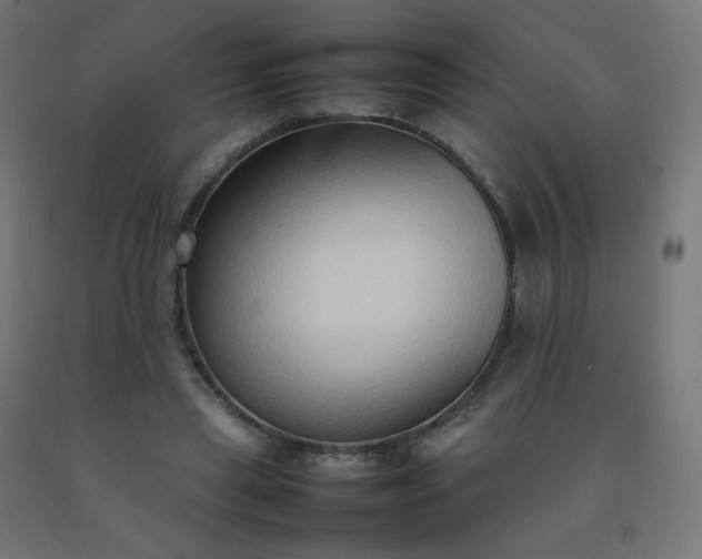 X0000092270445200709281227