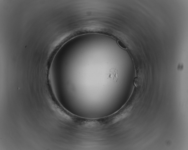 X0000092270446200709281227