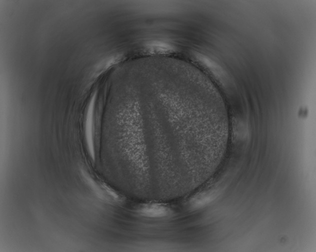 X0000092270451200709281227