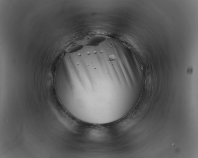 X0000092270459200709281227