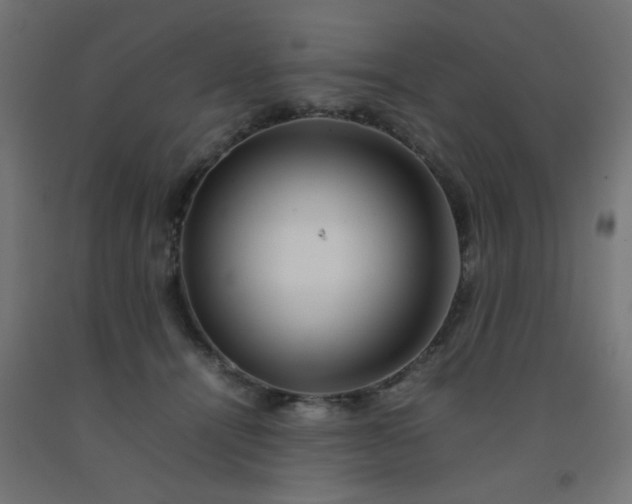 X0000092270464200709281227