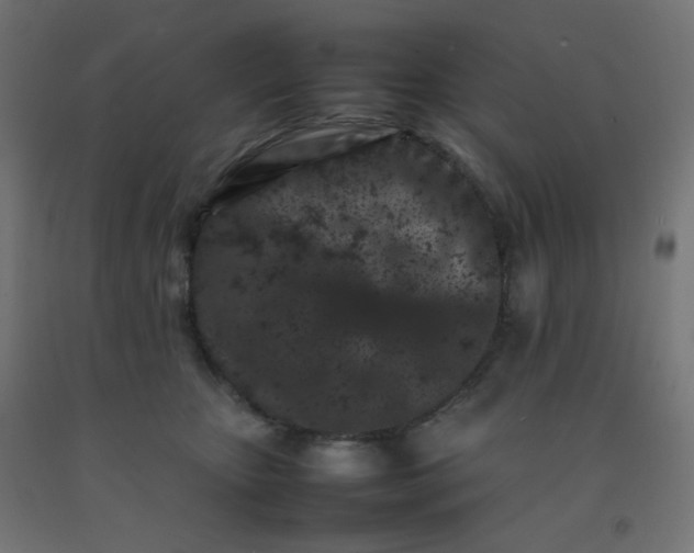 X0000092270467200709281227