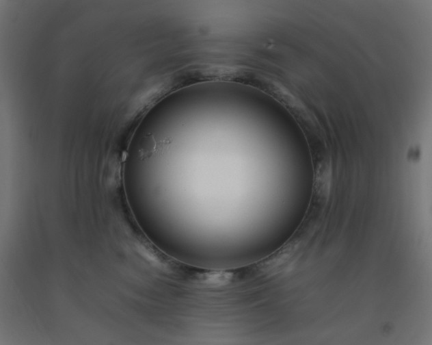 X0000092270474200709281227
