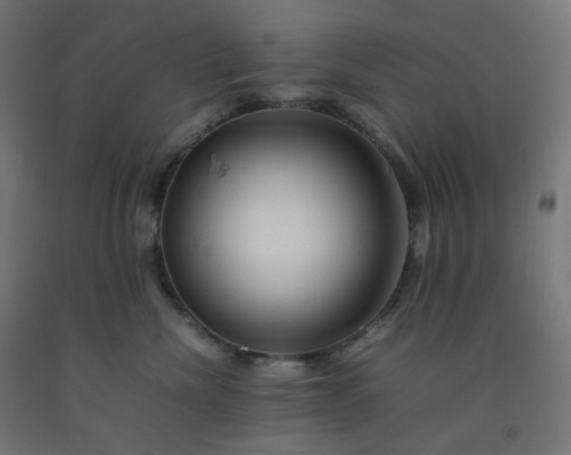 X0000092270476200709281227
