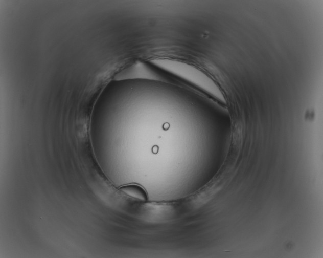 X0000092270477200709281228