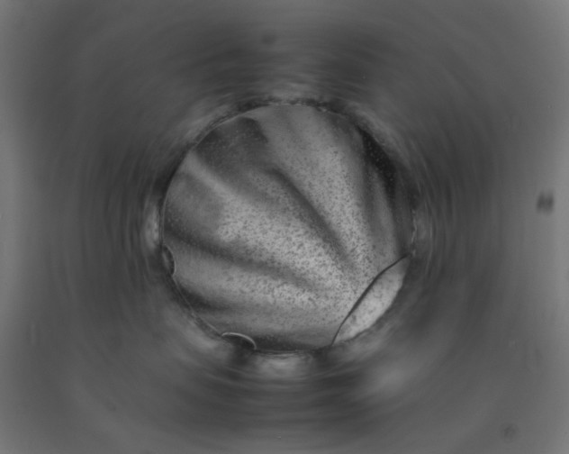 X0000092270479200709281228