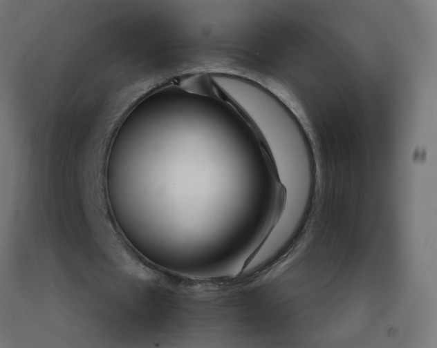 X0000092270481200709281227