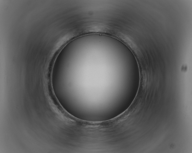 X0000092270482200709281227