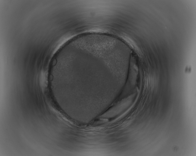 X0000092270484200709281227