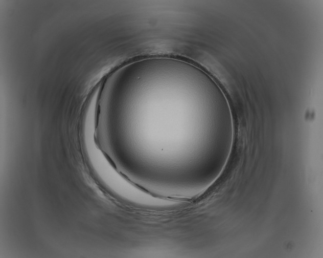 X0000092270485200709281227