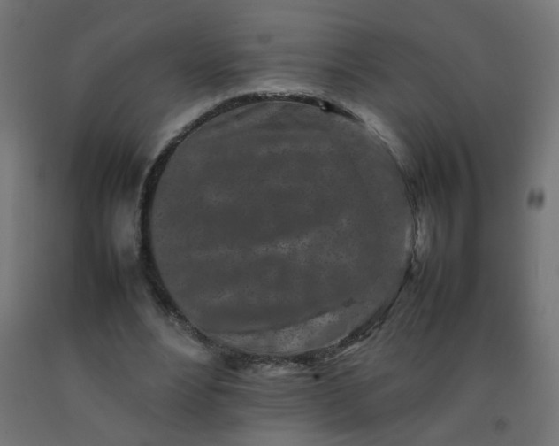 X0000092270488200709281227