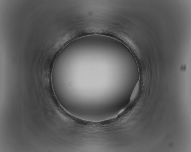 X0000092270489200709281227