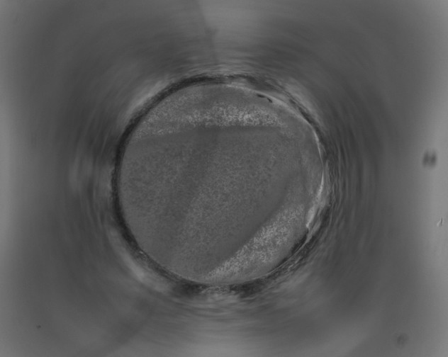 X0000092270491200709281227