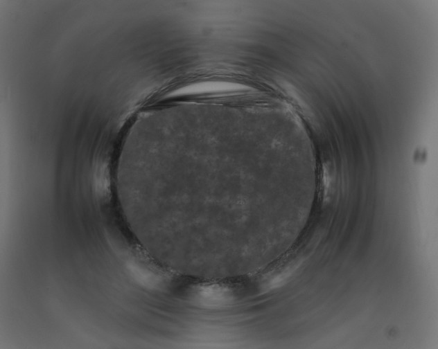X0000092270500200709281227