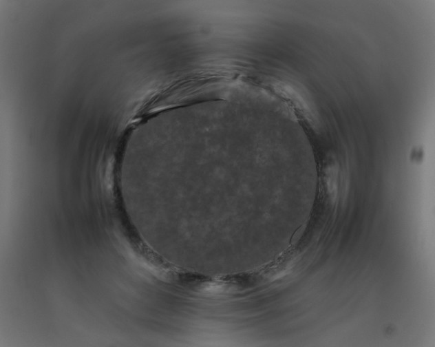 X0000092270504200709281227