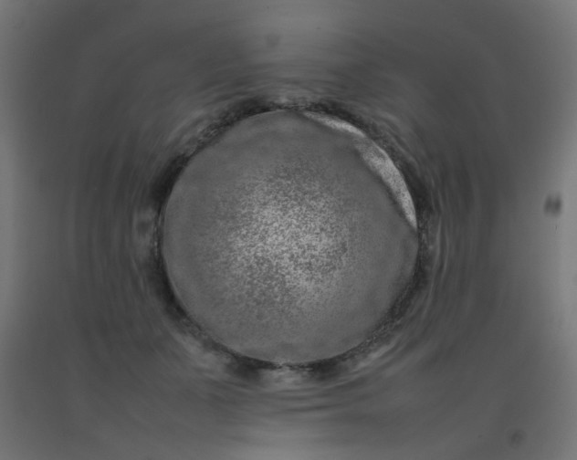 X0000092270511200709281227