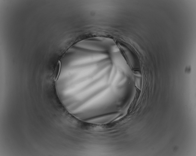 X0000092270513200709281227