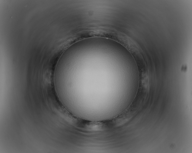 X0000092270514200709281226