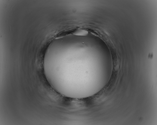 X0000092270515200709281226