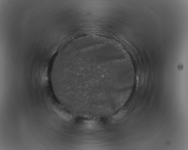 X0000092270516200709281226