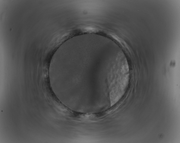 X0000092270517200709281226