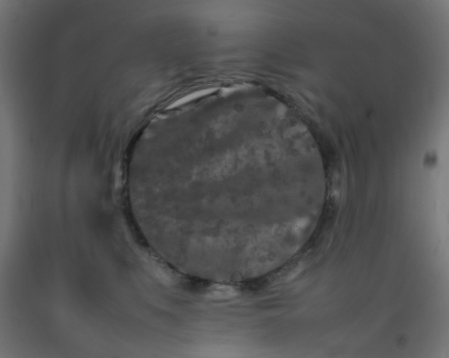 X0000092270519200709281226