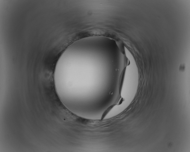 X0000092270521200709281226