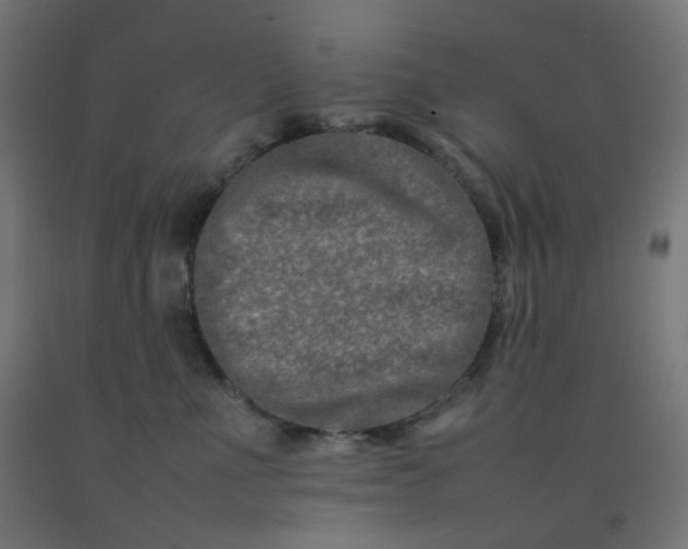 X0000092270523200709281226