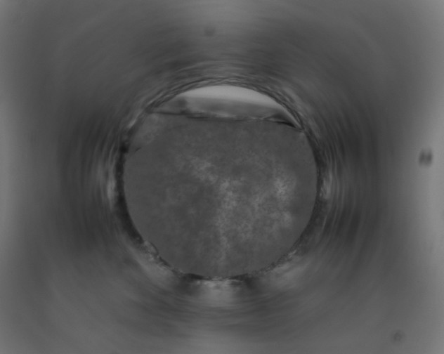 X0000092270524200709281226