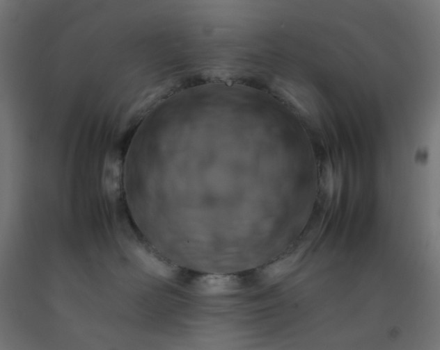 X0000092270526200709281226