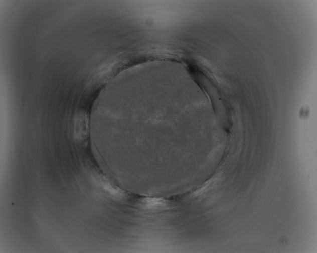 X0000092270528200709281226