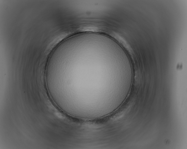X0000092270529200709281225