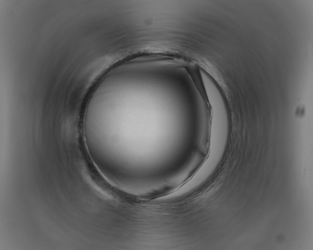 X0000092270530200709281225