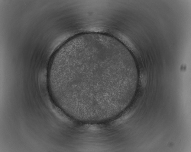 X0000092270534200709281225