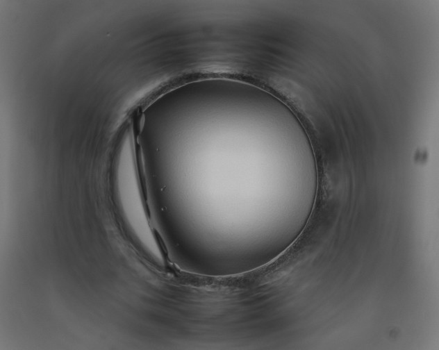X0000092270535200709281225