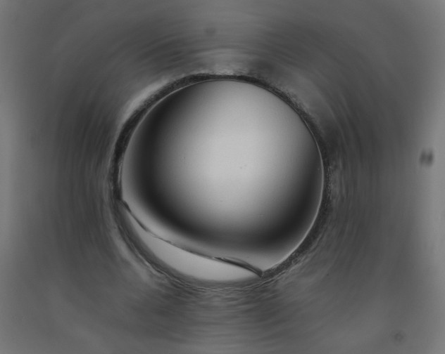 X0000092270536200709281226
