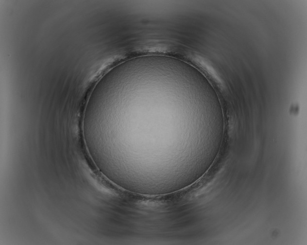 X0000092270537200709281226