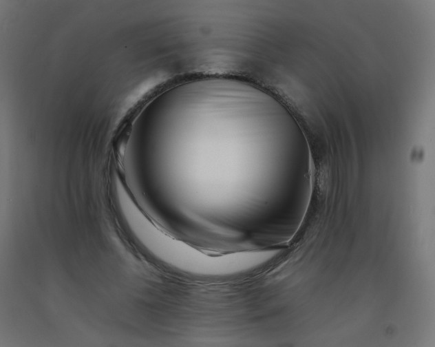 X0000092270540200709281226