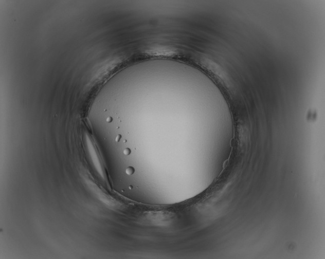 X0000092270541200709281226