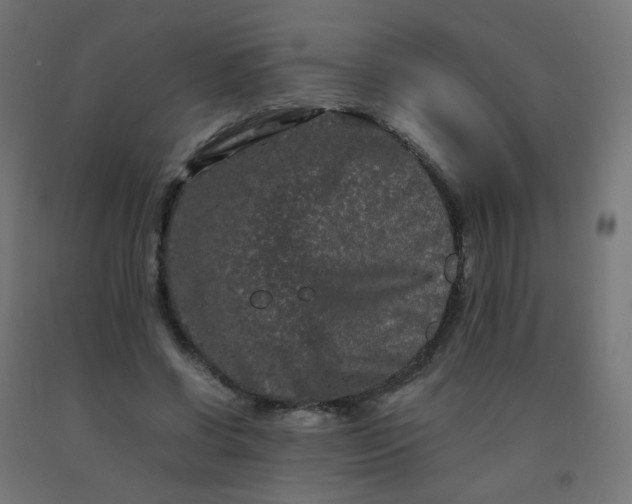 X0000092270542200709281226