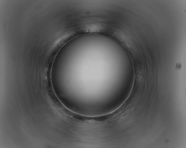 X0000092270543200709281226