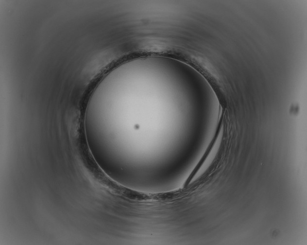 X0000092270544200709281226