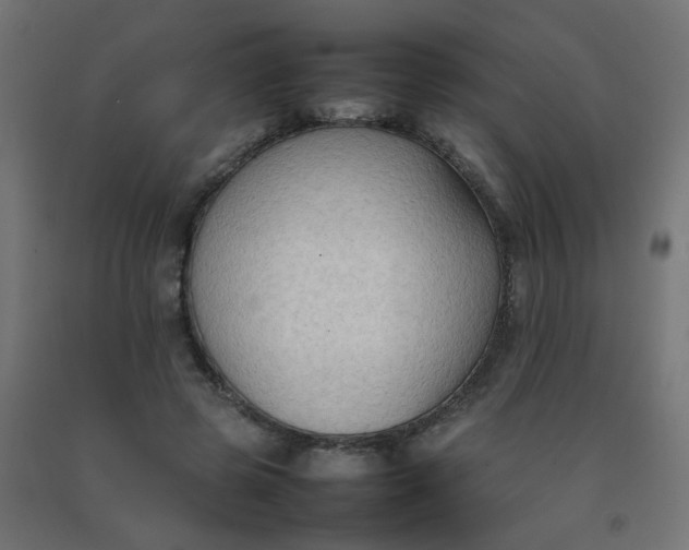 X0000092270545200709281226