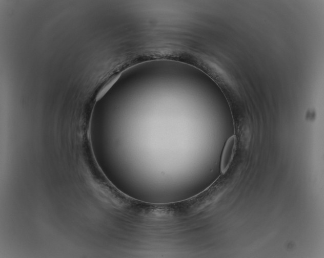 X0000092270546200709281226