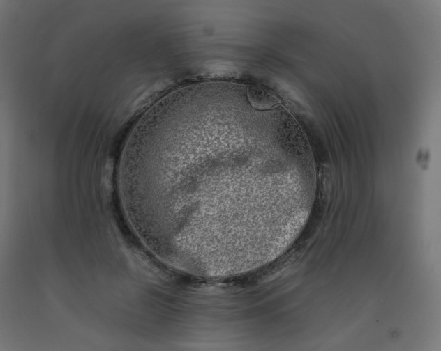 X0000092270550200709281226