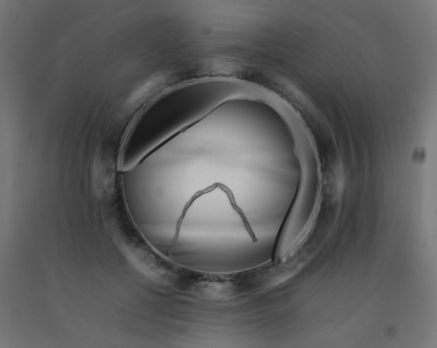 X0000092270552200709281226