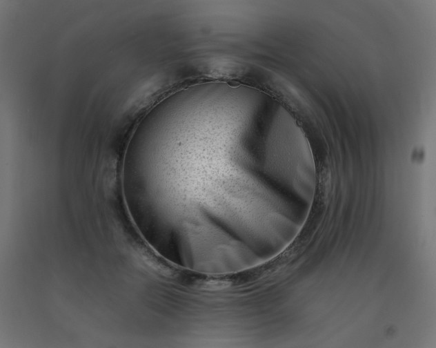 X0000092270554200709281226