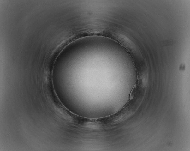 X0000092270556200709281226
