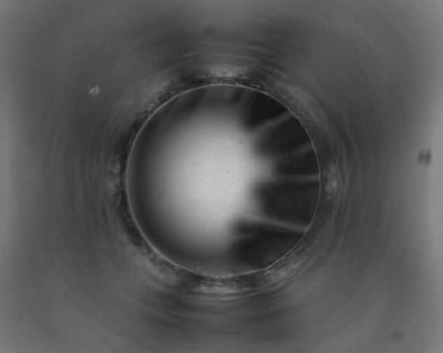 X0000092270559200709281226